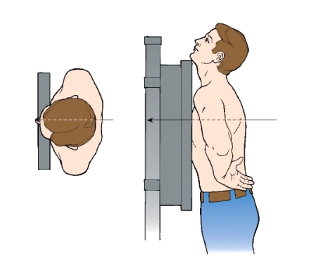 The projection shown in this illustration is:   A)  AP. B)  PA. C)  AP axial. D)  PA axial.