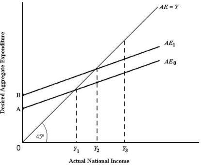   FIGURE 21-3 -Refer to Figure 21-3. A shift in the aggregate expenditure function from AE0 to AE1 could be caused by A)  a rise in the multiplier. B)  a fall in the marginal propensity to consume. C)  a rise in the marginal propensity to consume. D)  an increase in desired investment expenditures. E)  a decrease in desired investment expenditures.