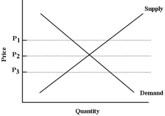   FIGURE 3-5 -Refer to Figure 3-5. A price at which there would be a surplus in this market is A)  P1. B)  P2. C)  P3. D)  both P1 and P2. E)  both P1 and P3.