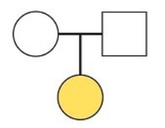 In the following pedigree, what does the colored circle indicate?   A)  an affected father B)  an affected mother C)  an affected daughter D)  an affected son E)  an affected cousin