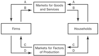 Figure 2-1   -Refer to Figure 2-1. Which arrow shows the flow of income payments? A)  arrow A B)  arrow B C)  arrow C D)  arrow D