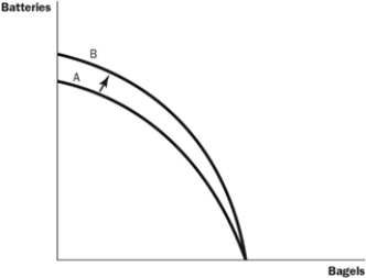 Figure 2-5   -Refer to Figure 2-5. What most likely caused the shift of the production possibilities frontier from A to B? A)  technological improvement in the production of batteries B)  more labour available in the economy C)  a general technological breakthrough D)  more capital available in the economy