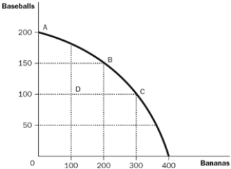 Figure 2-6   -Refer to Figure 2-6. What is the opportunity cost of moving from D to B? A)  0 baseballs and 0 bananas B)  0 baseballs and 100 bananas C)  50 baseball and 0 bananas D)  50 baseballs and 100 bananas