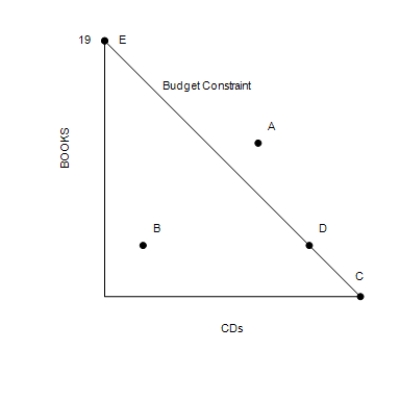Figure 21-1   -Refer to Figure 21-1. If the consumer's income is $285, then what is the price of a book? A) $16 B) $13 C) $15 D) $18