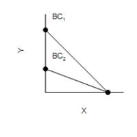 Figure 21-2 In each case, the budget constraint moves from BC<sub>1</sub> to BC<sub>2</sub>. Graph (a)  Graph (b)  Graph (c)  Graph (d)          -Refer to Figure 21-2. Which of the graphs in the figure could reflect a simultaneous decrease in the prices of both goods? A) Only graph (a)  B) Only graph (d)  C) Graph (b)  or graph (c)  D) None of the graphs in the figure can reflect this.