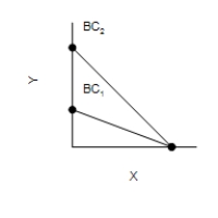 Figure 21-2 In each case, the budget constraint moves from BC<sub>1</sub> to BC<sub>2</sub>. Graph (a)  Graph (b)  Graph (c)  Graph (d)          -Refer to Figure 21-2. Which of the graphs in the figure could reflect a simultaneous decrease in the prices of both goods? A) Only graph (a)  B) Only graph (d)  C) Graph (b)  or graph (c)  D) None of the graphs in the figure can reflect this.