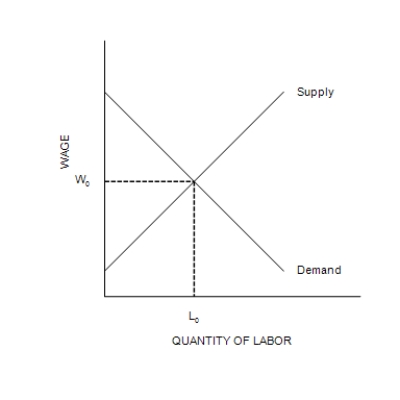 Figure 20-4    -Refer to Figure 20-4. If the government imposes a minimum wage above W<sub>0</sub>, it is likely to A) increase employment to a level above L<sub>0</sub>. B) reduce employment to a level below L<sub>0</sub>. C) provide more income to the working poor than they collectively received before the minimum wage was set. D) have no effect on employment.