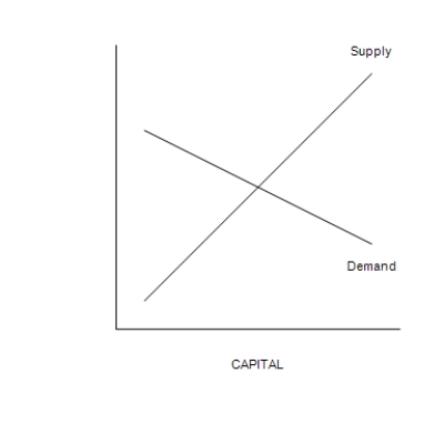 Figure 18-7   ​ -Refer to Figure 18-7. Suppose the intersection of the supply and demand curves matches with a value of $200 on the vertical axis. Then A) the marginal product of capital is 200. B) the value of the marginal product of capital is $200. C) a unit of capital can be purchased for $200. D) each worker in markets that produce capital goods earns a wage of $200.