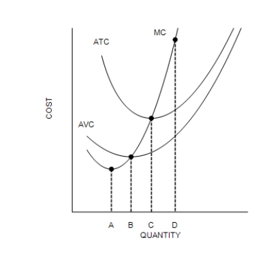 Figure 13-5   -Refer to Figure 13-5. The efficient scale of production occurs at which quantity? A) A B) B C) C D) D