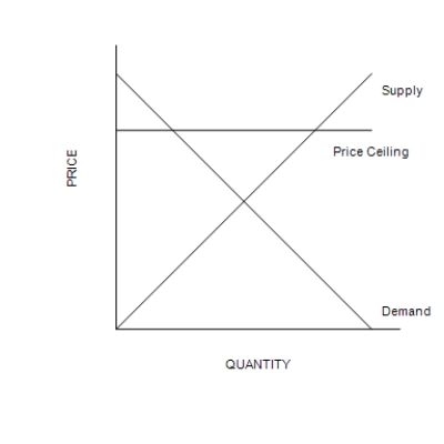 Figure 6-1 Graph (a)  Graph (b)       ​ ​ -Refer to Figure 6-1. The price ceiling shown in graph (a)  A) is not binding. B) creates a surplus. C) creates a shortage. D) is binding.