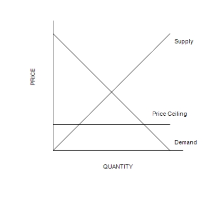 Figure 6-1 Graph (a)  Graph (b)       ​ ​ -Refer to Figure 6-1. The price ceiling shown in graph (a)  A) is not binding. B) creates a surplus. C) creates a shortage. D) is binding.