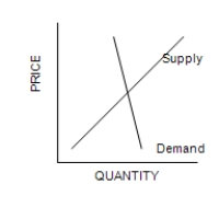 Figure 6-15 Graph (a)  Graph (b)  Graph (c)         ​ ​ -Refer to Figure 6-15. In which market will the majority of the tax burden fall on buyers? A) The market shown in graph (a) . B) The market shown in graph (b)  C) The market shown in graph (c)  D) The tax burden on buyers is the same for all three graphs.