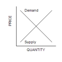 Figure 6-15 Graph (a)  Graph (b)  Graph (c)         ​ ​ -Refer to Figure 6-15. In which market will the majority of the tax burden fall on buyers? A) The market shown in graph (a) . B) The market shown in graph (b)  C) The market shown in graph (c)  D) The tax burden on buyers is the same for all three graphs.