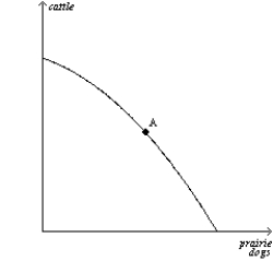 ​ (a) (b)      ​ (c) (d)      ​ (e)    ​ ​ ​