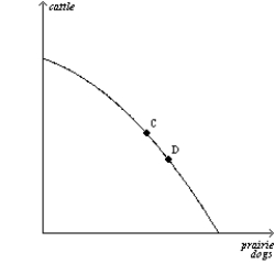 ​ (a) (b)      ​ (c) (d)      ​ (e)    ​ ​ ​