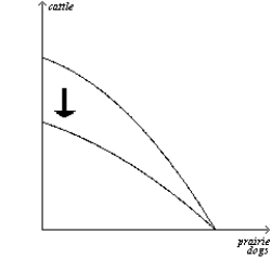 ​ (a) (b)      ​ (c) (d)      ​ (e)    ​ ​ ​