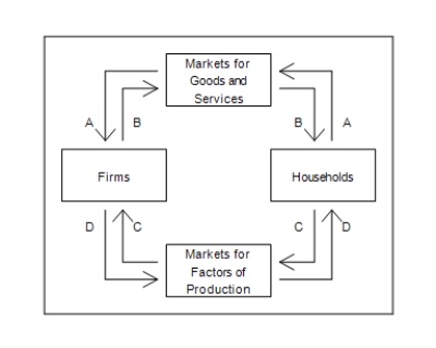 Figure 2-1    -Refer to Figure 2-1. Brianna buys a refrigerator for her new home. To which of the arrows does this transaction directly contribute? A) A only B) A and B C) C only D) C and D