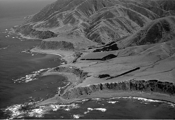 What process created the terrace that forms the cliff in the picture below?   A)  subsidence B)  deposition C)  uplift D)  relief