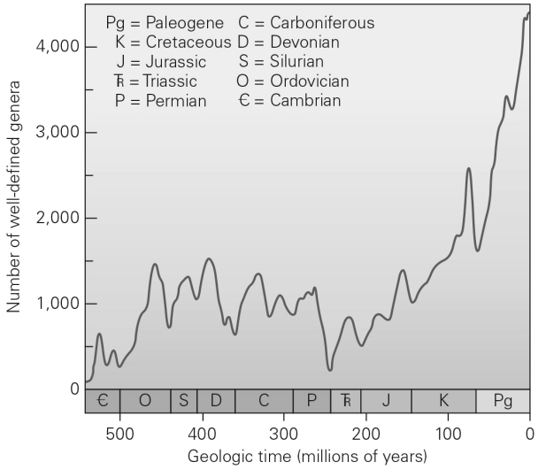What is the term for the several times in the Earth's history when biodiversity (i.e.,number of genera) has rapidly decreased worldwide?   A)  punctuated equilibrium B)  evolution C)  mass extinction D)  speciation