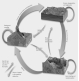Which cycle in the Earth System is illustrated in the below figure?   A)  hydrologic cycle B)  erosion cycle C)  rock cycle D)  carbon cycle