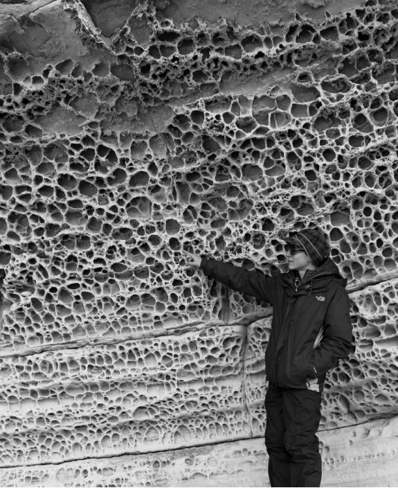 What type of weathering has produced the honeycomb-like features shown in the following photo?   A)  salt wedging B)  frost wedging C)  dissolution D)  hydration