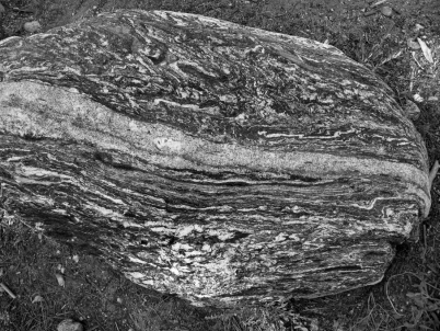 What do geologists call the layering seen in this photo of a metamorphic rock?   A)  bedding B)  foliation C)  grain size D)  cleavage