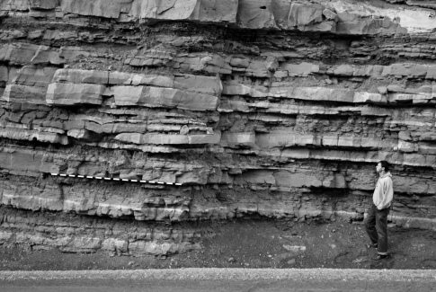 What do geologists call the layering seen in this photo of a sedimentary rock?   A)  bedding B)  foliation C)  grain size D)  cleavage