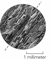What characteristic of rocks is demonstrated by inequant mineral grains arranged with their long axes pointing in the same direction,as shown in the image below?   A)  grain size B)  composition C)  texture D)  layering