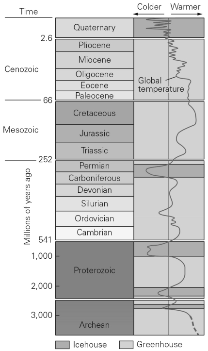 During most of the Mesozoic Era,the Earth was ________.   A)  about as warm as present B)  cooler than present C)  warmer than present D)  experiencing wild temperature fluctuations