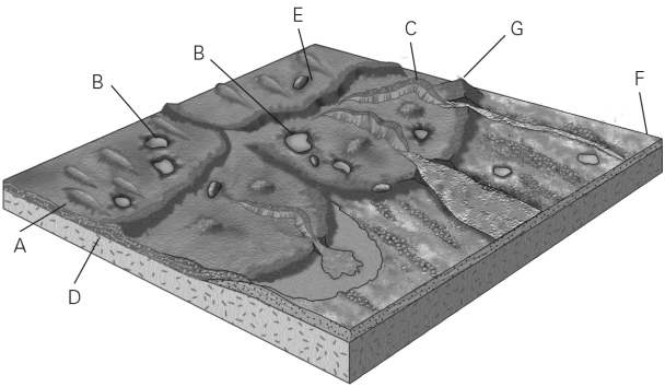 Which letter corresponds to where sorted and layered glacial sediments would occur on this landscape?   A)  A B)  E C)  G D)  F