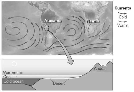 The figure below illustrates the formation of a ________.   A)  coastal desert B)  subtropical desert C)  rain-shadow desert D)  continental-interior desert
