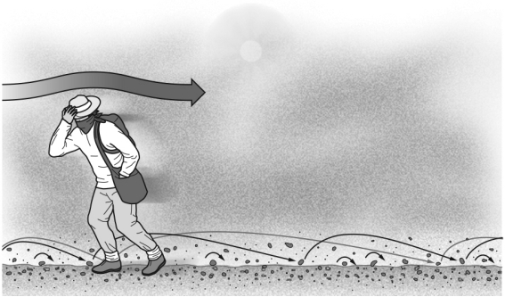 In the figure below,the sand grains are being transported by ________.   A)  suspension B)  saltation C)  surface creep D)  deflation