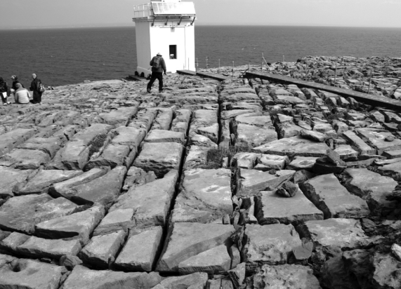 The wide and long fractures in this limestone cause it to have   A)  a high water table. B)  high permeability. C)  a high recharge area. D)  low hydraulic head.