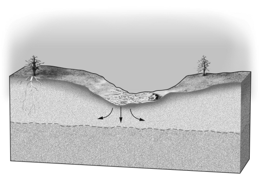 Which of the two figures below best shows the location of the water table expected in a dry climate?     A)  A B)  B C)  both A and B could be in dry climates D)  water table depth does not depend on climate