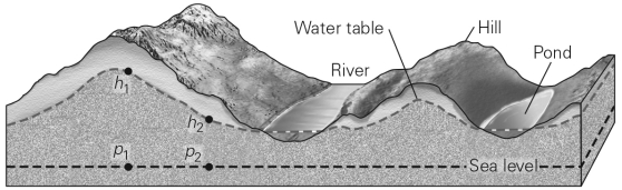 In the figure below,where is the discharge area for water infiltrating to the water table at point h<sub>1</sub>?   A)  at point h<sub>2</sub> B)  at the river C)  at the hill D)  at point p<sub>2</sub>