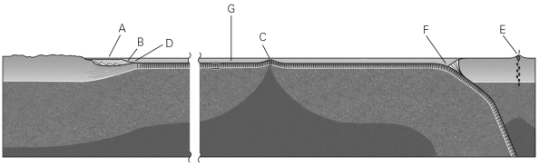 Using the figure below,which of the following lists correctly identifies the seafloor landforms G,C,and F?   A)  G = abyssal plain,C = mid-ocean ridge,F = trench B)  G = abyssal plain,C = continental rise,F = trench C)  G = continental shelf,C = abyssal plain,F = continental rise D)  G = abyssal plain,C = volcanic arc,F = trench
