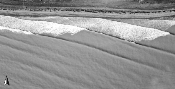 If a beach is in an east-west orientation and the waves are approaching the shore from the southwest,as shown in this figure,in which direction will the longshore current be moving?   A)  to the south B)  to the east C)  to the southeast D)  to the west