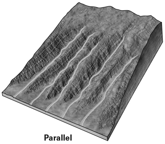 A parallel drainage network such as the one shown below develops on a very steep slope.What type of geologic processes can be inferred from the presence of a parallel drainage network?   A)  recent retreat of a glacier B)  a dried-out lake bed C)  recent uplift,such as along a fault D)  seasonal flooding