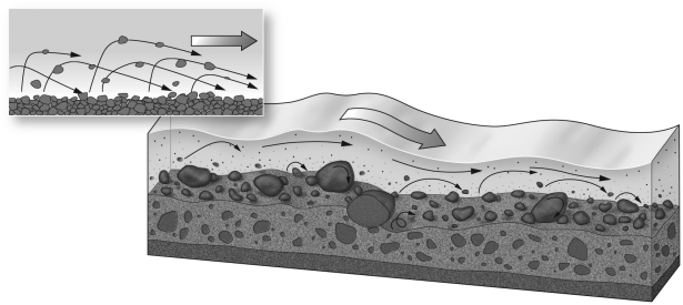 In the picture below,fragments of bed load bounce along the bed and knock other grains up into the flow to move downstream for short distances.This process is called   A)  saltation. B)  meandering. C)  stream piracy. D)  base level.