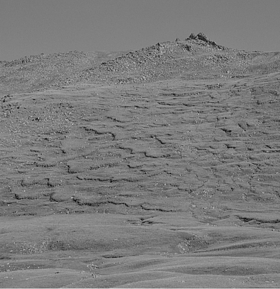 What is happening to the hillside in the tundra pictured below?   A)  an avalanche B)  a debris flow C)  solifluction D)  a slump