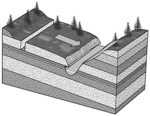 The ________ in the sequence of sedimentary rocks shown below may become a failure surface.   A)  bedding planes B)  exfoliation joints C)  foliation planes D)  uplift planes