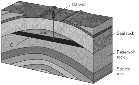 Why is a trap necessary to create a conventional reserve?         A)  Without a trap,temperatures within the Earth would be too high for hydrocarbon formation. B)  A trap is the porous and permeable reservoir in which conventional hydrocarbon reserves reside. C)  A trap is the source rock for the accumulation and creation of hydrocarbon resources. D)  Without a trap,hydrocarbons would rise buoyantly and seep onto the Earth's surface.
