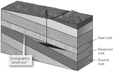 Why is a trap necessary to create a conventional reserve?         A)  Without a trap,temperatures within the Earth would be too high for hydrocarbon formation. B)  A trap is the porous and permeable reservoir in which conventional hydrocarbon reserves reside. C)  A trap is the source rock for the accumulation and creation of hydrocarbon resources. D)  Without a trap,hydrocarbons would rise buoyantly and seep onto the Earth's surface.