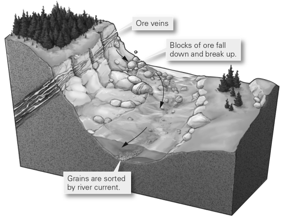 In the geologic setting shown in the picture,the dense minerals of the ore are concentrated in stream sediments after eroding,while less dense minerals are washed away.This is known as a   A)  massive sulfide deposit. B)  residual mineral deposit. C)  sedimentary deposit. D)  placer.