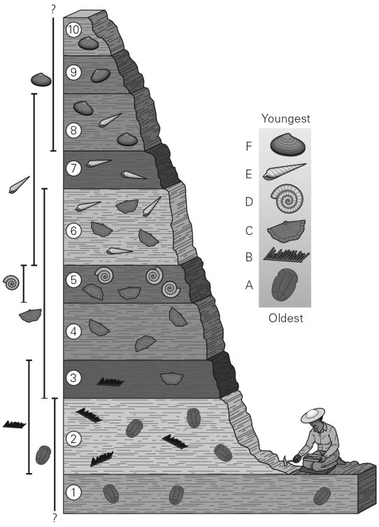 Based on the figure,what is the age of Layer 7 relative to Layer 3?   A)  Layer 7 is younger than Layer 3. B)  Layer 7 is older than Layer 3. C)  Layer 7 and Layer 3 are the same rock type,so they are the same age. D)  Their relative ages cannot be determined.