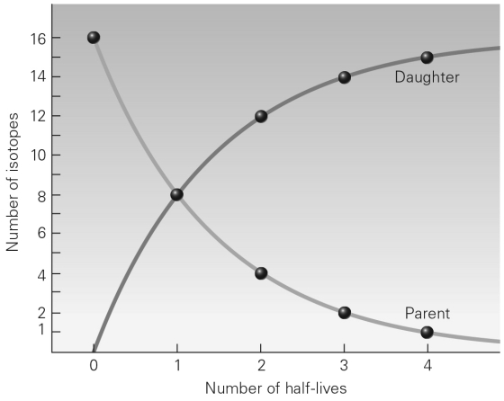 Referring to the graph below,after one half-life has passed,what is the ratio of parent isotopes to daughter isotopes?   A)  16:0 B)  1:1 C)  1:3 D)  1:7