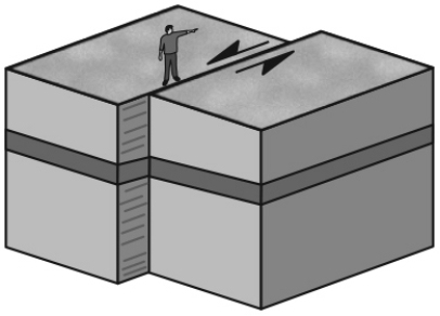 If you stand on one side of a strike-slip fault and the block on the other side of the fault has moved to your left,this is known as a(n) ________.   A)  oblique fault B)  dip-slip fault C)  right lateral fault D)  left lateral fault