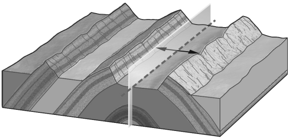 In the image below,the rocks have been bent into an elongate arch.This is an example of a(n) ________.   A)  anticline B)  basin C)  dome D)  syncline