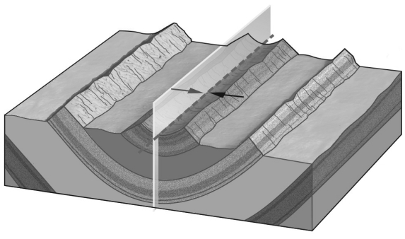 In the image below,the rocks have been bent into an elongate trough.This is a(n) ________.   A)  anticline B)  basin C)  dome D)  syncline