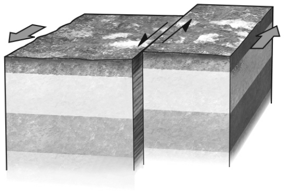 If a fault is nearly vertical in orientation and the two walls of rock on opposite sides slide past one another horizontally,the fault is termed a ________ fault.Refer to the figure below for an example of such a feature.   A)  normal B)  reverse C)  strike-slip D)  thrust